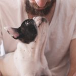 【飼い主は見るべき!】愛犬が落ち着く抱っこの仕方とは?