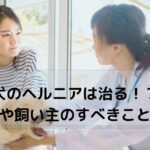 獣医に相談する飼い主