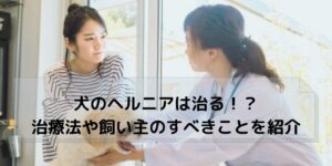 獣医に相談する飼い主