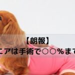 ピンクの服を着てお座りする犬
