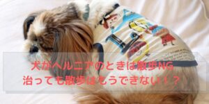 シーツの上で寝る犬