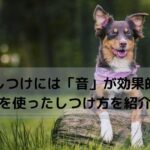 丸太に前足をのせる犬